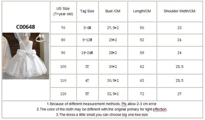 Baby Girl Baptism Dresses Toddler White Lace Flower Tulle Christening 1 Years Birthday Princess Party Dress Newborn Wedding Gown