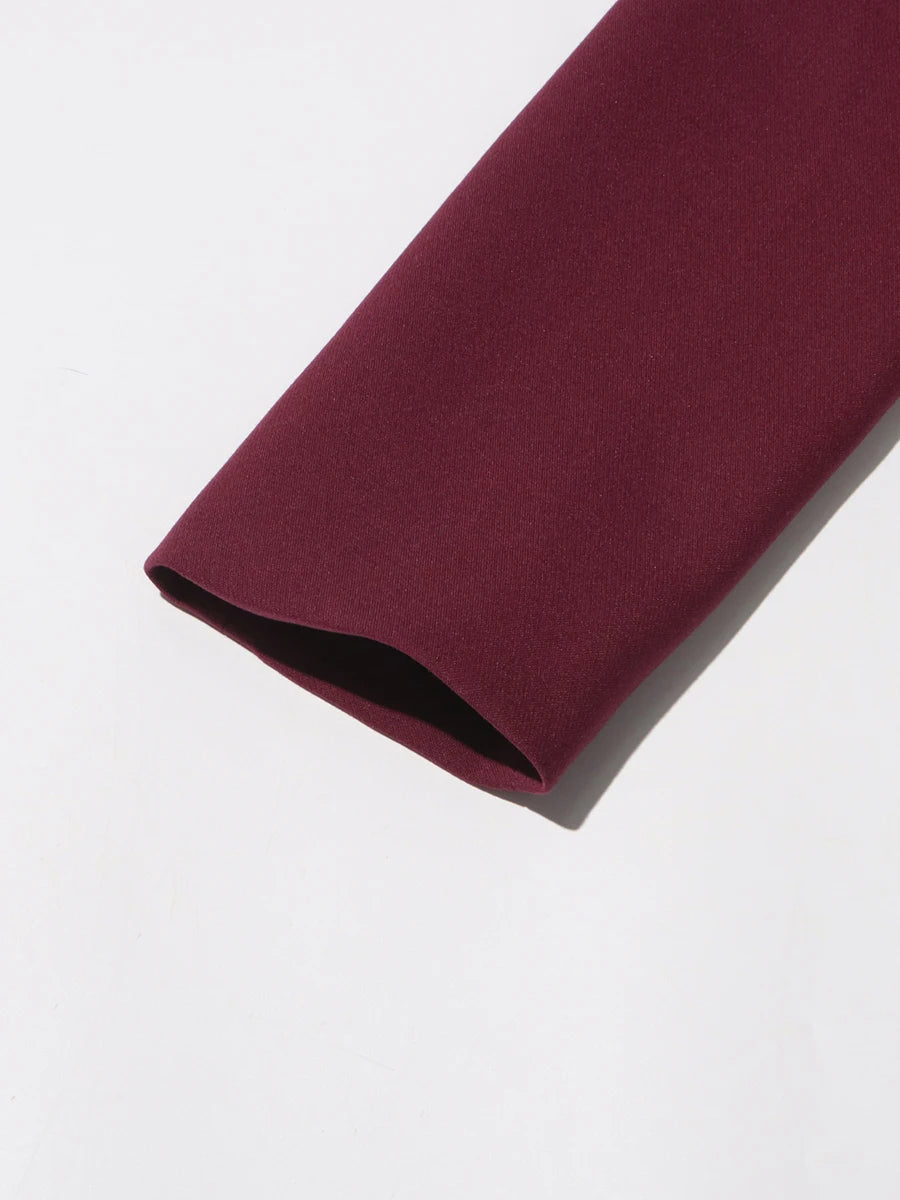 TWOTWINSTYLE Solid Two Piece Set For Women Stand Collar Long Sleeve Tops High Waist Spliced Button Long Pants Fashion Set Female