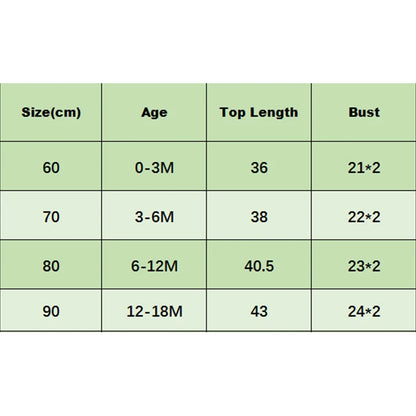 Infant Baby Girl Lace Romper Baby Tulle Dress Romper Flowers Bodysuit Spring Summer Festival Clothes with Headband