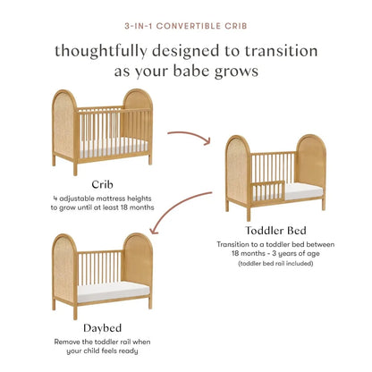 Bondi Cane 3-in-1 Convertible Crib with Toddler Bed Conversion Kit in Honey with Natural Cane, Greengard Gold Certified