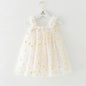 2025 New Baby Girl Clothes Multi Coloured Embroidered Floral Mesh Camisole Cute Baby Girl Dress Party Princess Fluffy Dresses