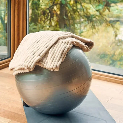 Heated Blanket Electric Throw 50''X60''-Soft Silky Plush Electric Blanket with 4 Heating Level & 3 Hour Auto Off Heating Blanket