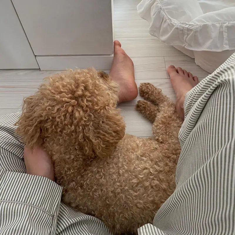 Striped Sleepwear Women Pajama Sets Korean Pajama Autumn Pants Sets for Women 2 Pieces Button Night Wears Long Sleeve Home Suit