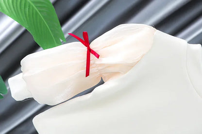 Toddler Baby Girls Dress Autumn  Winter Kids Red Christmas New Year Plush Warm Dress Infant Clothing Set Top+ skirt For 1-4 Years