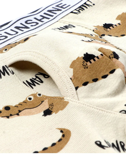 6 Pcs Baby Toddler Boys' Underwear,  100% Cotton Kids Underwear, Little Boys Briefs Soft Dinosaur Boxer Briefs