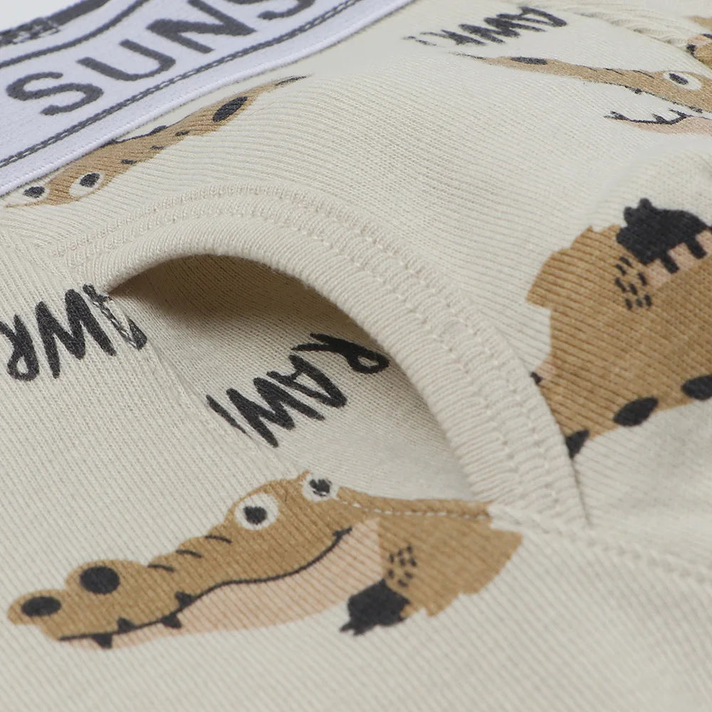 6 Pcs Baby Toddler Boys' Underwear,  100% Cotton Kids Underwear, Little Boys Briefs Soft Dinosaur Boxer Briefs