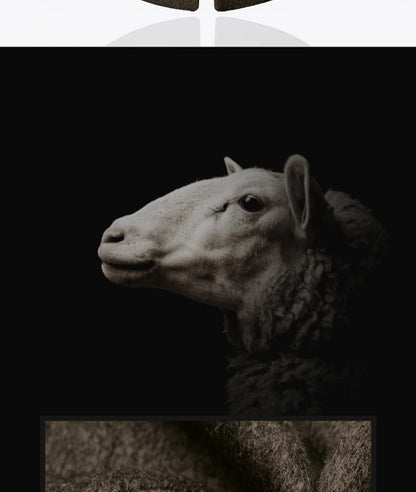 BROWON Brand Trench Coat Men Autumn and Winter New Solid Color Long Woolen Coat for Men Business Casual Windbreaker Men Clothing